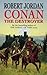 Conan the Destroyer