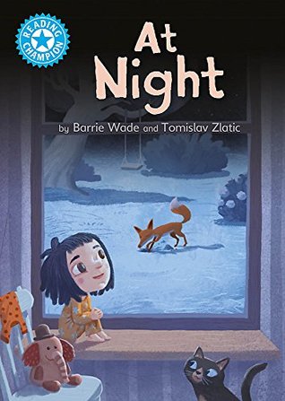 Reading Champion: At Night: Independent Reading Blue 4 (Hardcover)