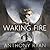 The Waking Fire by Anthony Ryan