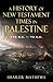 A History of New Testament Times in Palestine, 175 B.C.-70 A.D. by Shailer Mathews