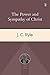 Power and Sympathy of Christ