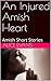 An Injured Amish Heart: Ami...
