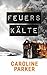 Feuerskälte (Berlin Krimi 3)