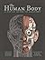 Human Body