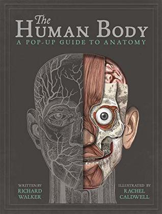 Human Body (Hardcover)