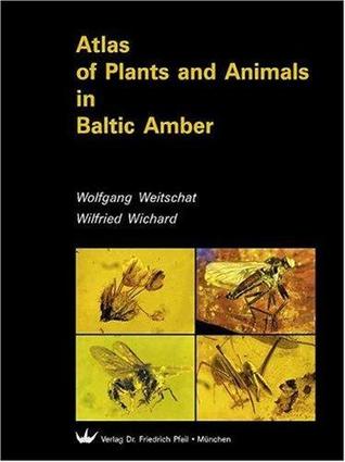 Atlas of Plants and Animals in Baltic Amber (Hardcover)