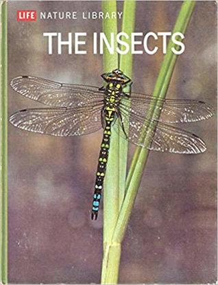 The Insects (Hardcover)