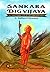 Sankara Dig Vijaya - The Traditional Life of Sri Sankaracharya by Mādhava Vidyāranya Kannada