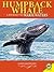Humpback Whales: A Journey ...