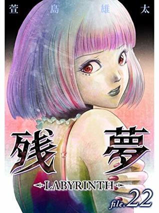 Zanmu Labyrinth 22 (Kindle Edition)