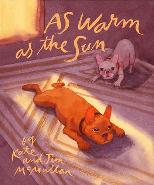 As Warm As the Sun (Hardcover)