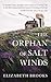 The Orphan of Salt Winds