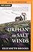 Orphan of Salt Winds, The