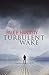Turbulent Wake