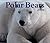 Polar Bears 2006