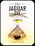 The Jaguar Eye by Christoff Orr