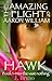 Into the Vast Nothing (The Amazing Flight of Aaron William Hawk, #1)