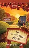 Till We Meet Again (Sugarcreek Amish Mysteries, #30) Till We Meet Again (Sugarcreek Amish Mysteries, #30)