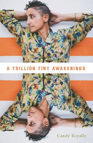 A Trillion Tiny Awakenings (Paperback)