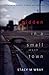Hidden in a Small Town by Stacy M Wray
