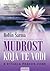 Mudrost koja te vodi  by Robin Sharma