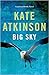 Big Sky (Jackson Brodie, #5)