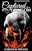 Captured by a Dragon (Dragon Mated #1)