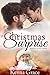 A Christmas Surprise (Bundl...