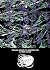 Warriors' Gate (The Black A...