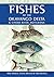 Fishes of the Okavango Delt...
