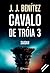 Cavalo de Tróia 3 - Saidan (Portuguese Edition)