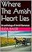 Where The Amish Heart Lies:...
