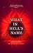 What in Hell's Name by Christopher J.