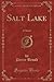 Salt Lake: A Novel (Classic Reprint)