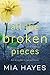 All The Broken Pieces (A Wa...