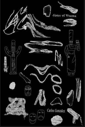 Gates of Plasma (Paperback)