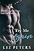 Try Me Again (The Hot Heroes Series)
