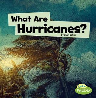 What Are Hurricanes? (Wicked Weather) (Little Pebble)