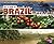 Let's Look at Brazil