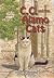C.C. and the Alamo Cats