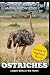 Ostriches: Largest Birds in...