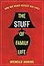 The Stuff of Family Life by Michelle Janning