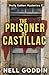 The Prisoner of Castillac (Molly Sutton Mysteries)