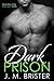 Dark Prison (Gray Tower, #1)