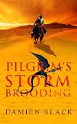 Pilgrim's Storm Brooding