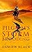 Pilgrim's Storm Brooding (B...