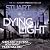 Dying Light (Logan McRae #2)