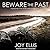 Beware the Past by Joy Ellis