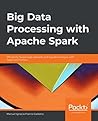 Big Data Processi...