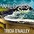 Wild Irish Soul (Mystic Cove, #3)